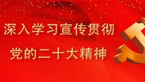  扎實(shí)推進(jìn)全面從嚴(yán)治黨工作確保全年目標(biāo)任務(wù)完美收官